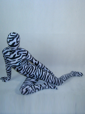 Zebra Lycra Spandex Unisex Fullbody Zentai Suit - Click Image to Close